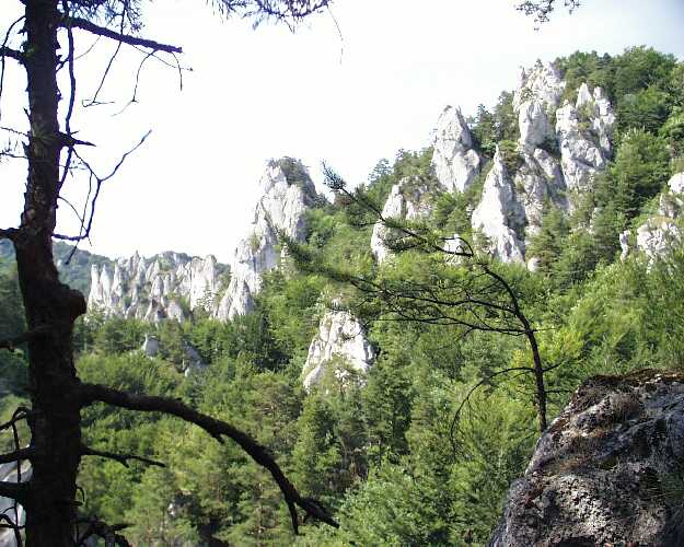 sulov_28.jpg (56270 bytes)